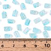 Transparent Spray Painted Glass Seed Beads SEED-L011-10A-16-4