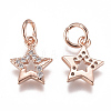 Brass Micro Pave Cubic Zirconia Charms ZIRC-F111-15-3