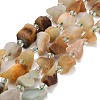 Natural Flower Amazonite Beads Strands GG-CBA0B77-A24-02-2