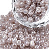 6/0 Glass Seed Beads SEED-A011-4mm-148-01-1
