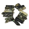 Natural Prehnite Beads Strands G-S386-D06-3