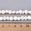 Natural Freshwater Shell Beads Strands BSHE-T014-51B-4