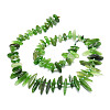 Natural Canada Jade Beads Strands G-E569-O06-2