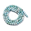 Natural HuBei Turquoise Beads Strands G-B130-A01-03-4