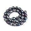 Natural Cultured Freshwater Pearl Beads Strands PEAR-N012-09F-01-3