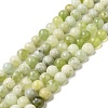 Natural New Jade Beads Strands G-K340-A01-01-1