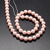 Shell Pearl Beads Strands BSHE-E008-8mm-13-2