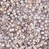 Baking Paint Glass Seed Beads SEED-Q041-03A-13-3