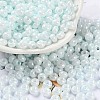 3/0 Glass Seed Beads X1-SEED-L011-03A-09-1