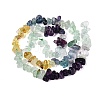 Natural Fluorite & Amethyst & Citrine(Heated) Beads Strands G-N371-02A-01-4