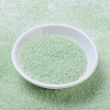 MIYUKI Round Rocailles Beads X-SEED-G007-RR0371-2