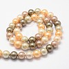 Shell Pearl Bead Strands X-BSHE-L017-12-2