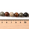 Natural Picture Jasper Beads Strands G-S390-07-10mm-5