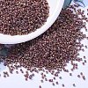 MIYUKI Delica Beads SEED-X0054-DB1013-1