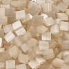 MIYUKI TILA Beads SEED-JP0008-TL2593-2
