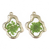 Epoxy Resin Pendants LS-X-RESI-T045-028B-2