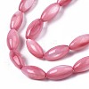 Natural Freshwater Shell Beads X-SHEL-R047-02D-3