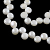 Natural Cultured Freshwater Pearl Beads Strands X-PEAR-R013-14-1