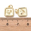 Brass Pendants KK-D019-17G-3
