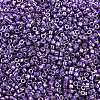 MIYUKI Delica Beads X-SEED-J020-DB2509-2