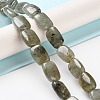 Natural Labradorite Beads Strands G-K357-D16-01-2