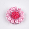 Resin Cabochons CRES-T010-59G-1