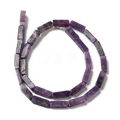 Natural Lepidolite/Purple Mica Stone Beads Strands G-E612-C05-A-1
