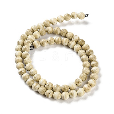 Natural Rainbow Alashan Agate Beads Strands G-NH0022-A04-01-1
