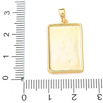Brass Micro Pave Clear Cubic Zirconia Pendants KK-C264-09G-1