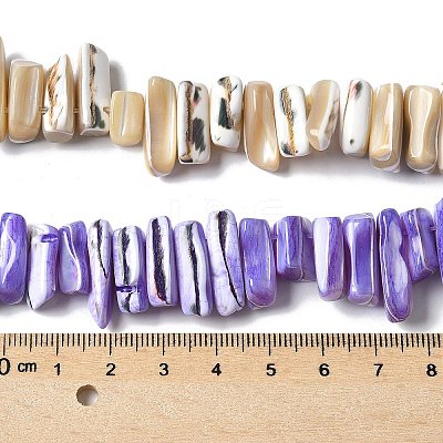 Dyed Natural Trochus Shell Beads Strands SSHEL-C013-09-1