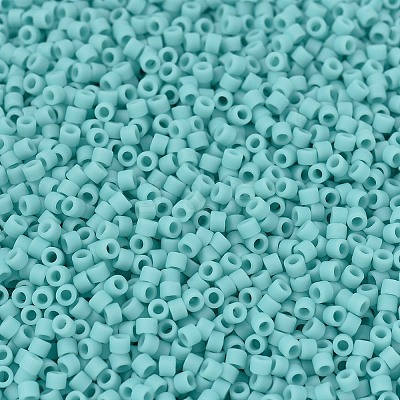 MIYUKI Delica Beads X-SEED-J020-DB1586-1