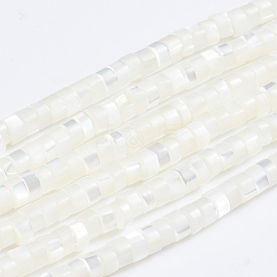 Natural Trochid Shell/Trochus Shell Beads Strands SSHEL-L016-13A-1