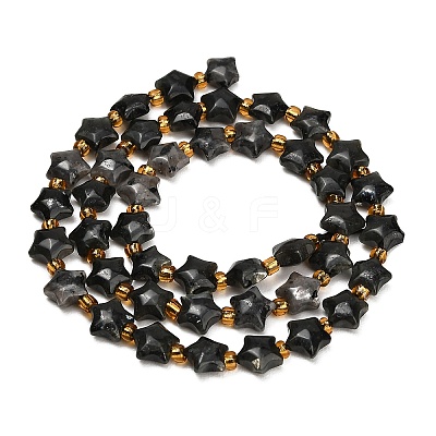 Natural Larvikite Beads Strands G-Z080-A29-8mm-1