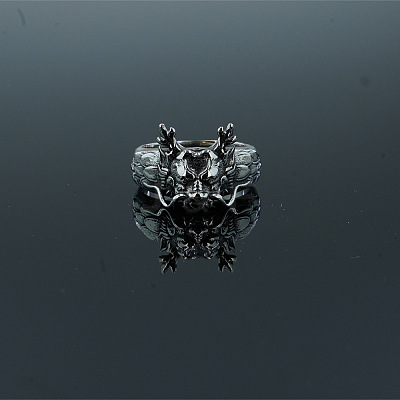 Retro 304 Stainless Steel Dragon Finger Rings WG26D82-01-1