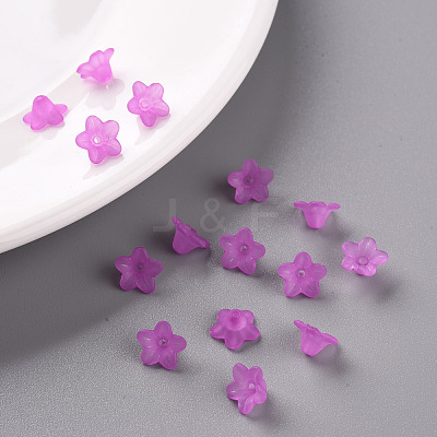 Transparent Acrylic Beads PL554-17-1