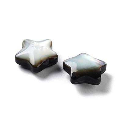 Natural Black Lip Shell Beads SHEL-M020-02B-1