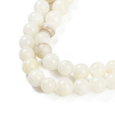 Natural Cultured Freshwater Shell Beads Strands BSHE-H109-03C-1