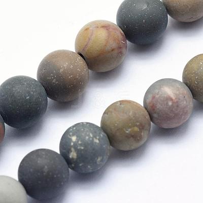 Natural Ocean Agate/Ocean Jasper Beads Strands G-G716-02-4mm-1