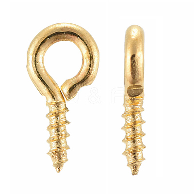 Iron Screw Eye Pin Peg Bails E561Y-G-1