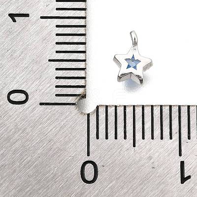 925 Sterling Silver Cubic Zirconia Charms STER-Q005-01B-C-1