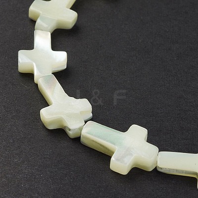 Natural Trochid Shell/Trochus Shell Beads Strands SSHEL-K027-04-1