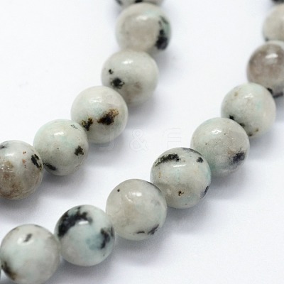 Natural Sesame Jasper/Kiwi Jasper Beads Strands X-G-I199-29-4mm-1