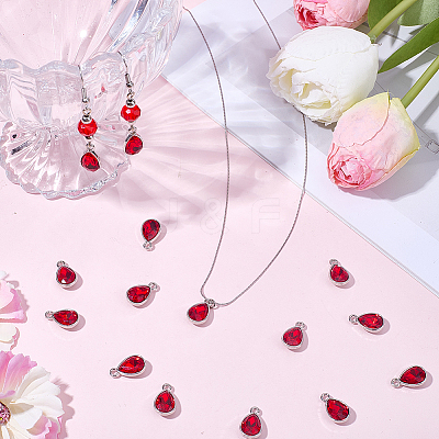 30Pcs Alloy Glass Pendants FIND-SC0022-43-1