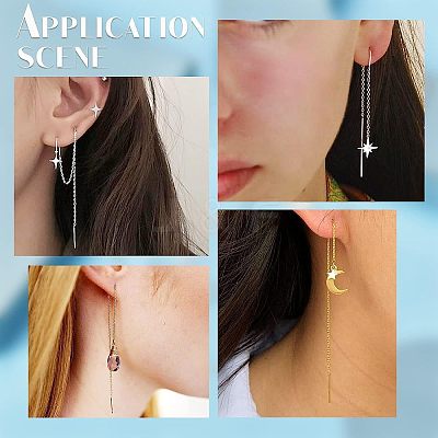 20 Pairs 2 Colors 304 Stainless Steel Earring Findings STAS-SC0004-17-1