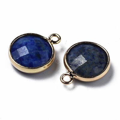 Natural Lapis Lazuli Charms G-Q998-026A-1