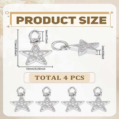 4Pcs Brass Micro Pave Cubic Zirconia Charms ZIRC-LP0001-30-1
