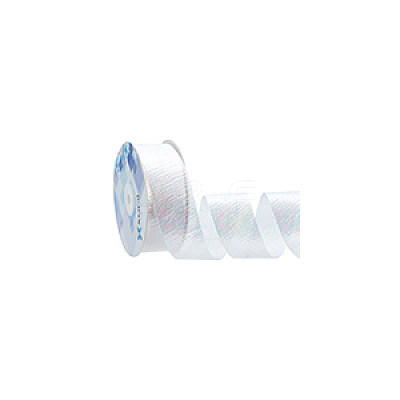 18M Iridescent Polyester Ribbon OCOR-WH0097-10A-1