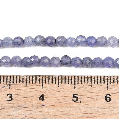Natural Tanzanite Beads Strands G-S361-3mm-008-1