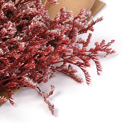 Dried Flower DIY-B018-01-1