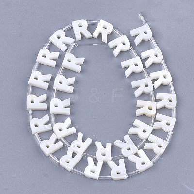 Natural Freshwater Shell Beads SHEL-T012-59R-1